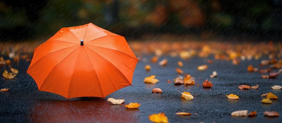 Monsoon Wellness: Diet and Lifestyle Tips for Better Health