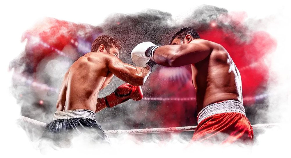 The Ultimate Guide to Choosing a Reliable Boxing Betting Website