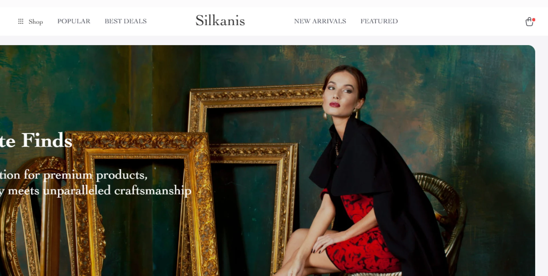  Silkanis Brings Dazzling Realm Of Online Shopping To The Table 