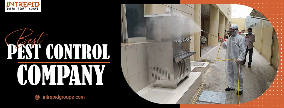 Why You Need Insect Removal Companies in Dubai | Intrepid