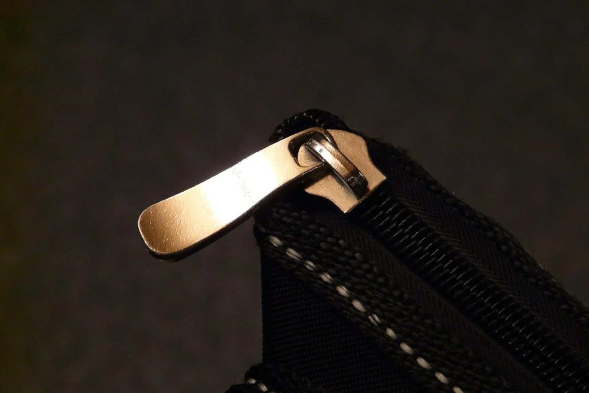 Zipper Bags Printing & Cheap Printing That Elevate Your Brand