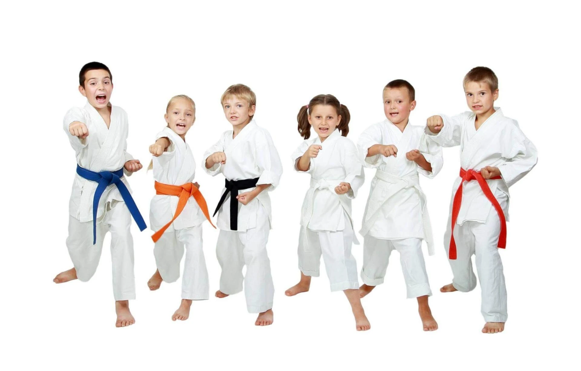 Master the Path of Black Belt Taekwondo at OCMA RSM