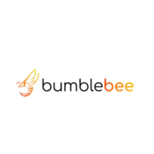 🐝 Exploring Bumblebee NFT Coins: The Sweet Buzz of Blockchain Collectibles 🍯