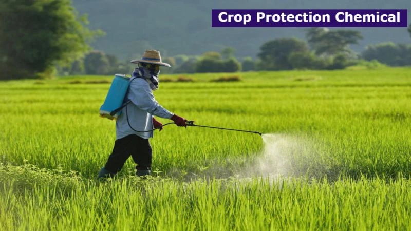 Crop Protection Chemicals Market Size, Share &amp; Trends Analysis Report by End-User 2023-2030