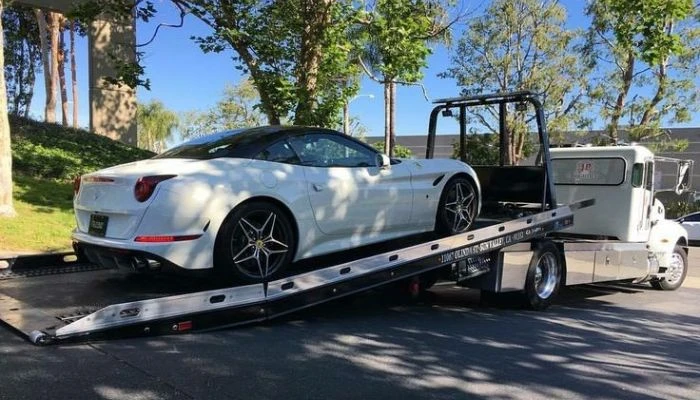 Affordable & Best Car Shipping Services in Florida Today