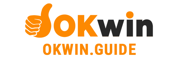 Okwin Guide