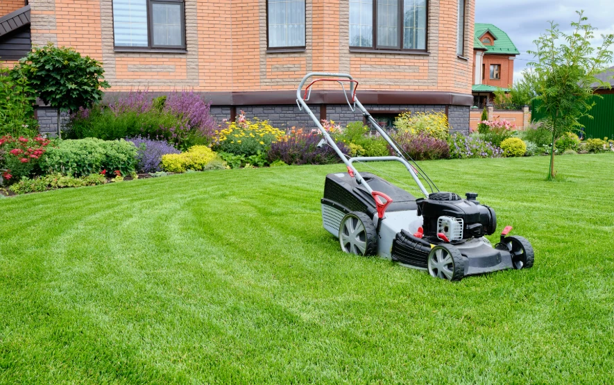 "Sunday Lawn Care Is the Best Day for Yard Maintenance"