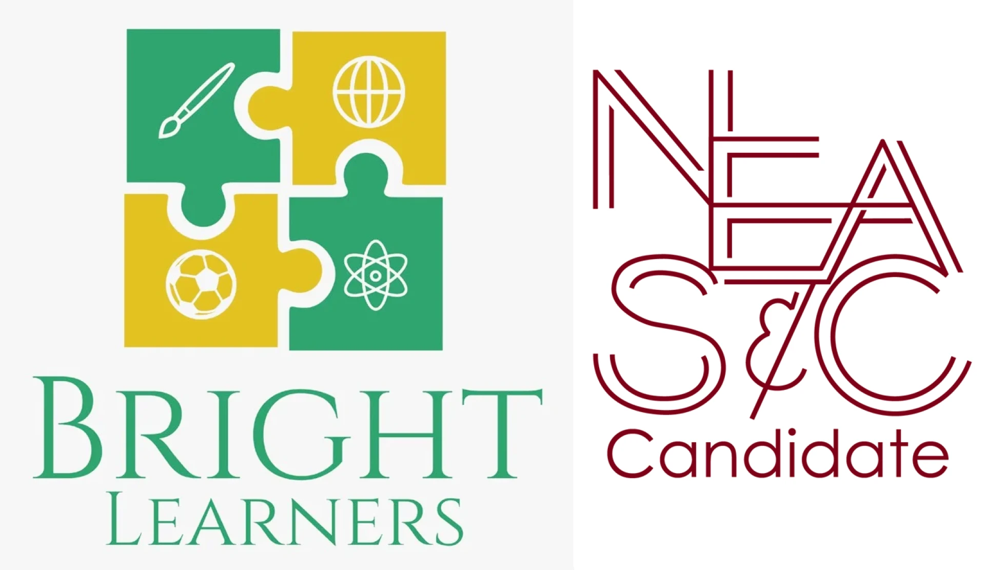 Best American Teachers in Dubai for Quality Education  | Bright Learners