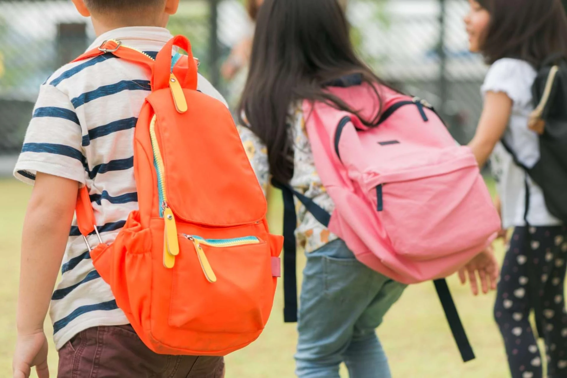 Bezpieczeństwo najmłodszych na drodze – rola edukacji i widoczności