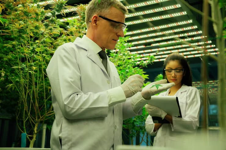 How a Biotech Career Coach Can Help You Navigate a Complex Industry
