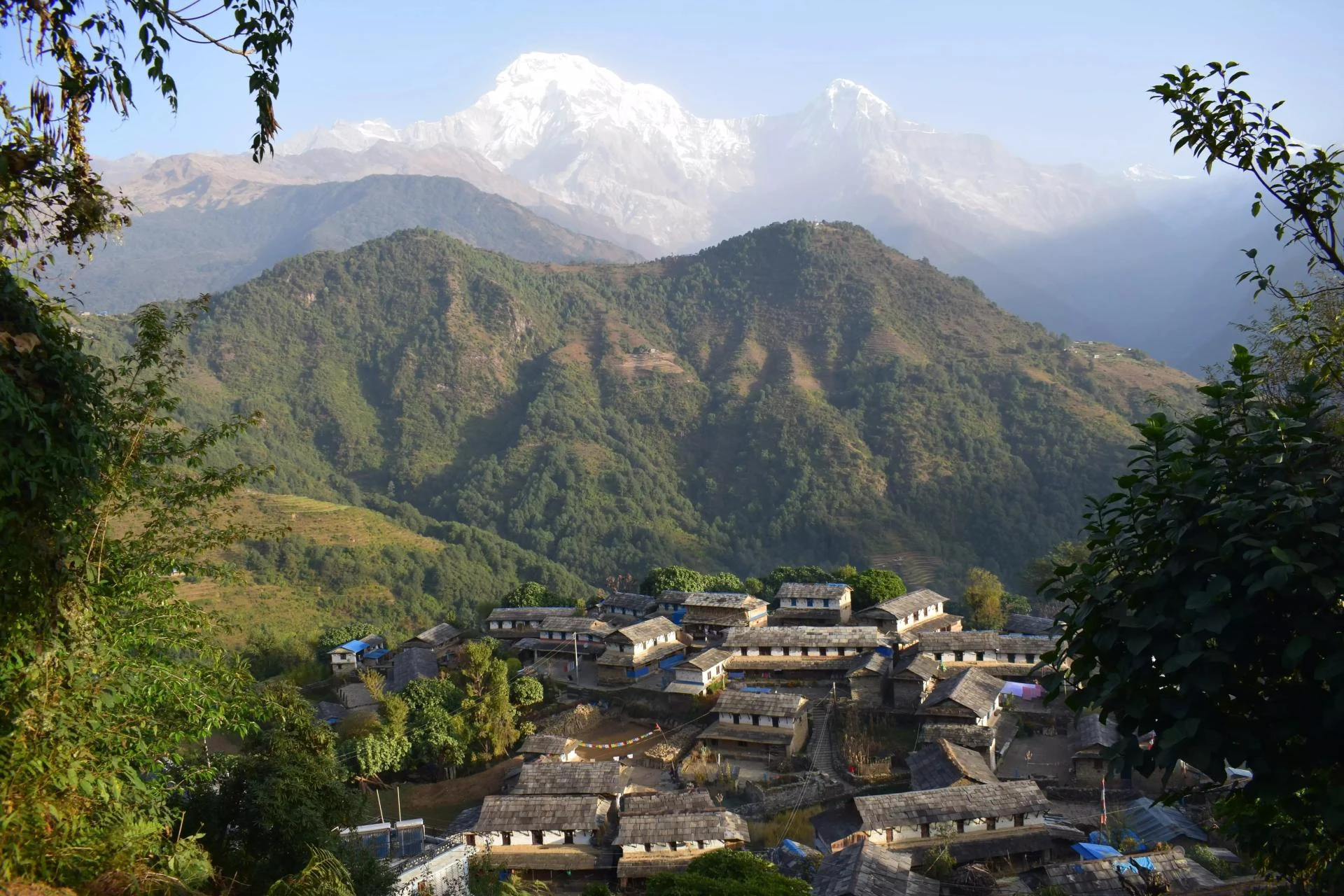 My First Ghorepani to Ghandruk Trek: A Short Walk Full of Beauty