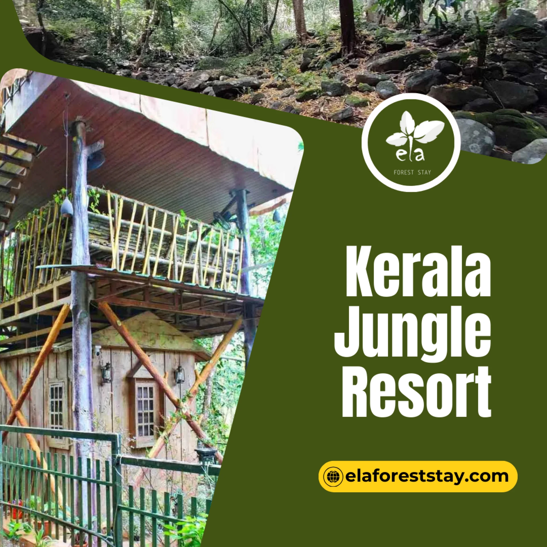 What Activities Are Offered at Jungle Resorts