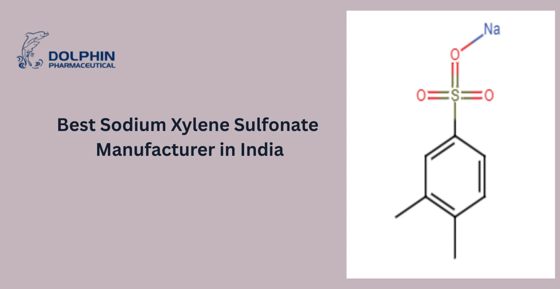 Best Sodium Xylene Sulfonate Manufacturer in India