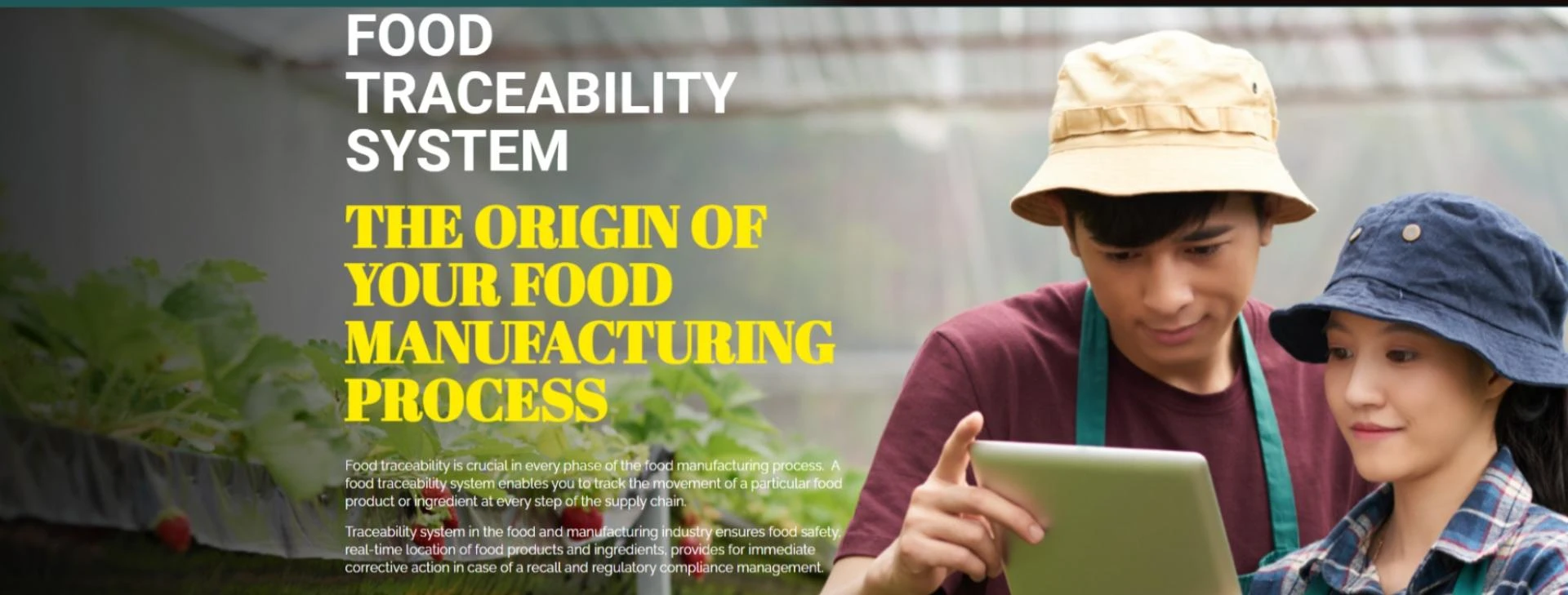 Streamline Quality with Manufacturing Traceability Solutions