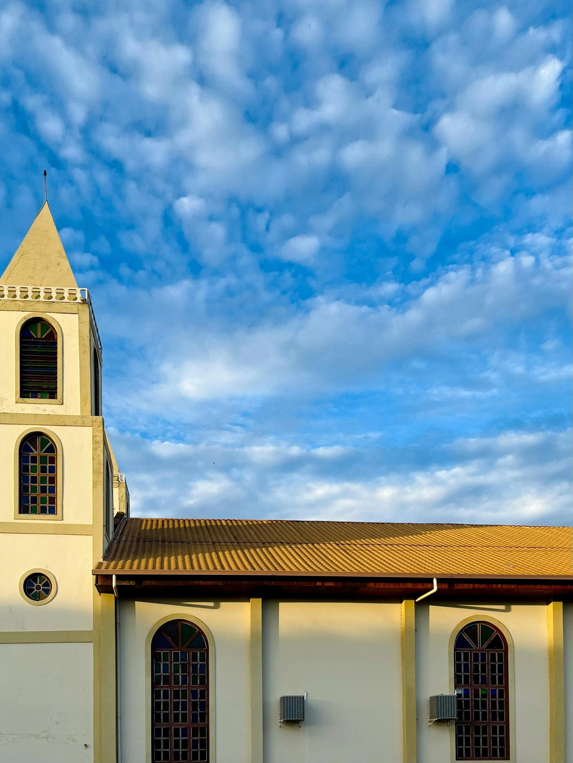 Top Roofing Services in Calgary: What You Need to Know Before You Hire