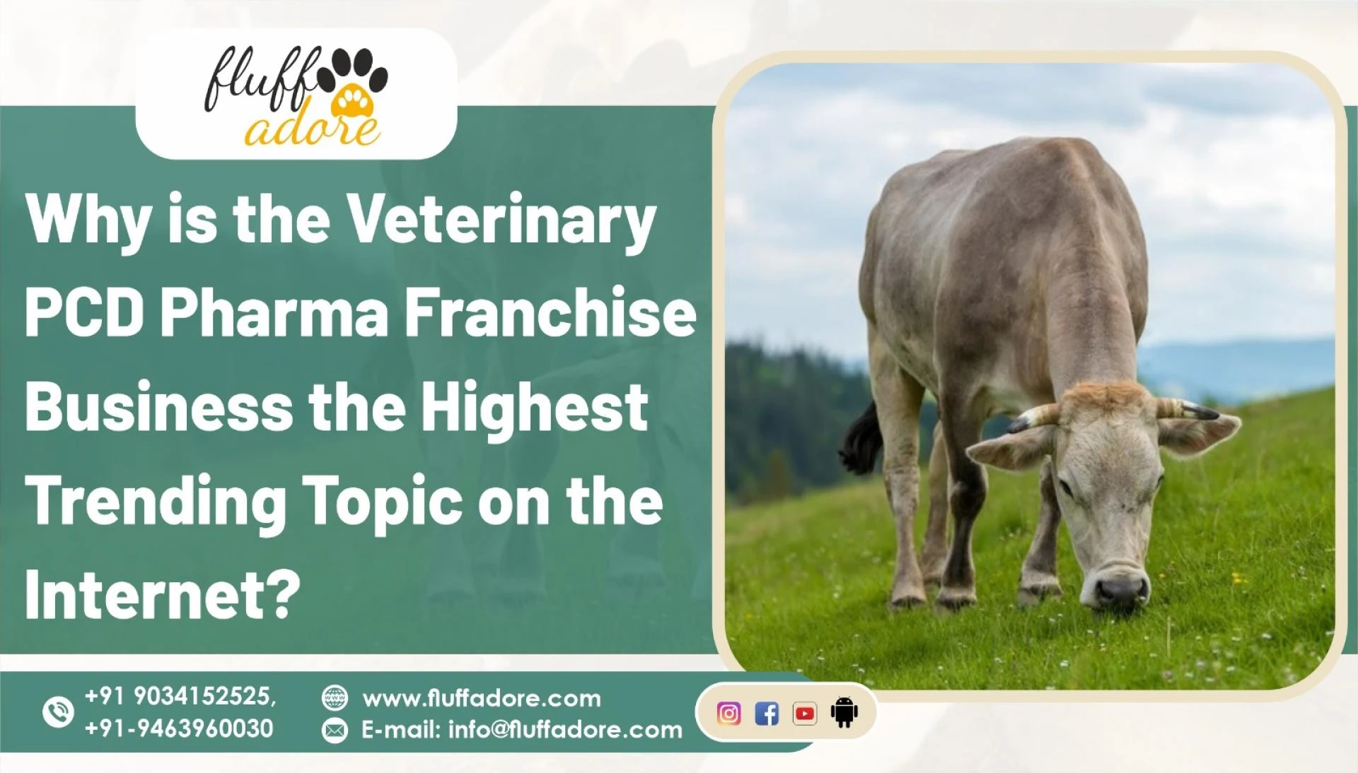 Veterinary PCD Franchise Offered By Veterinary Third Party Manufacturers