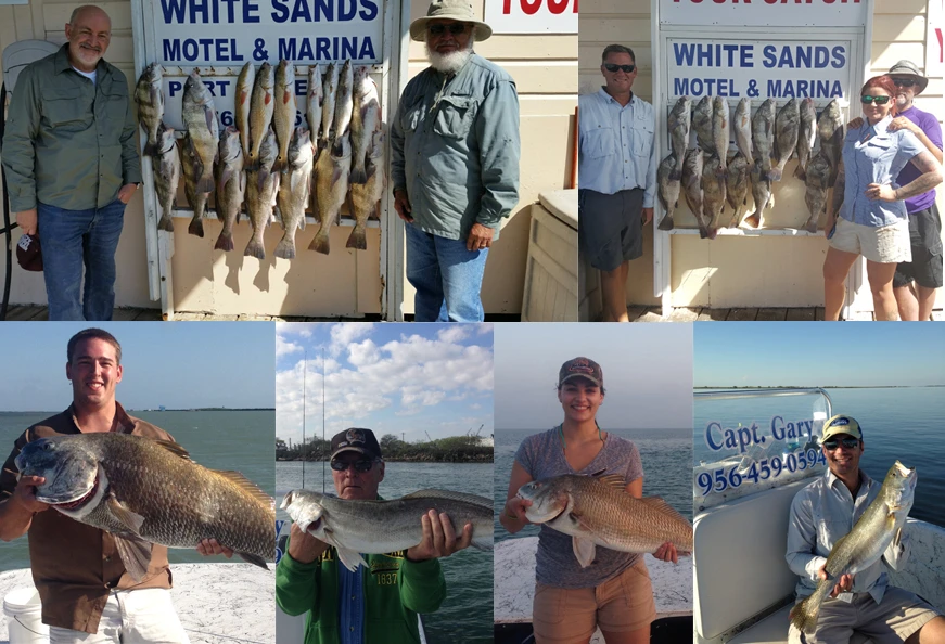Top Fish You Can Catch While Fishing On South Padre