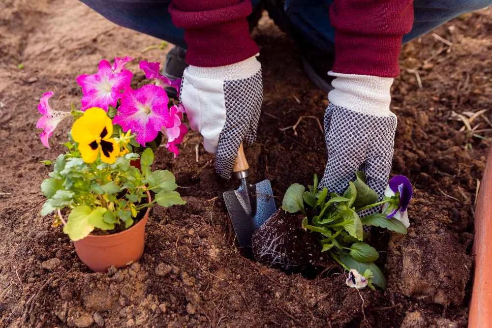How Can Grass Cutting Services in Jacksonville Help You?