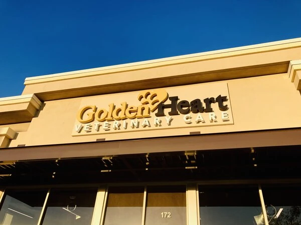 Your Brand’s First Impression: Designing Effective Building Signs in Orlando