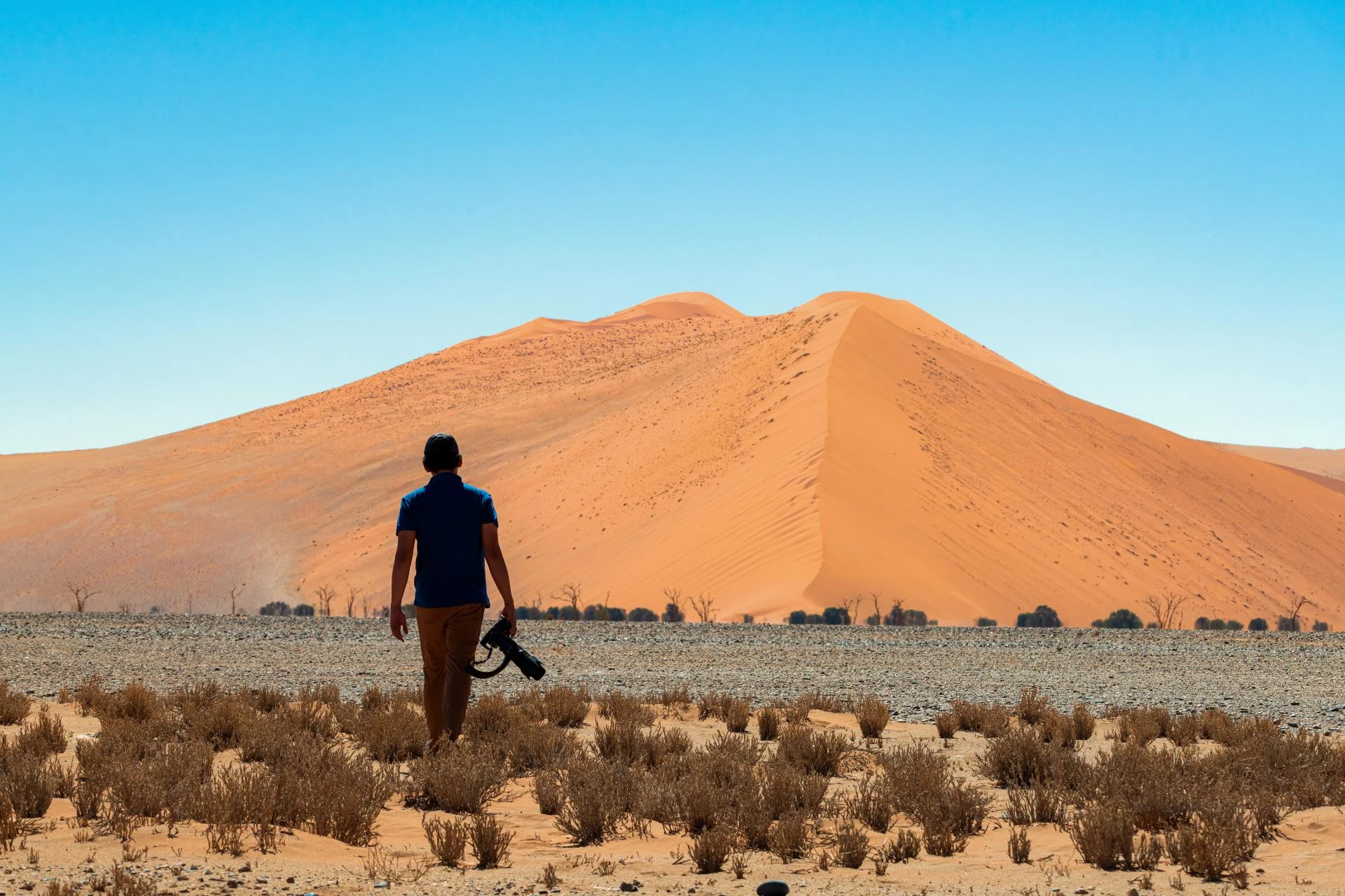 10 Breathtaking Safari Camps in Namibia That Will Leave You in Awe