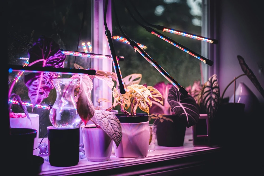 The Silent Gardener: How Smart LEDs Work While You Sleep