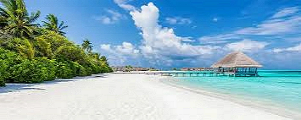 Discovering Luxury Hotels in Negril and Kingston, Jamaica