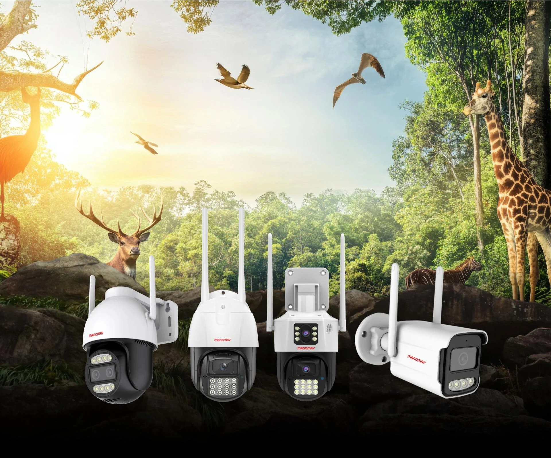 2MP vs 3MP vs 4MP: Which Surveillance Camera Is Right for You?