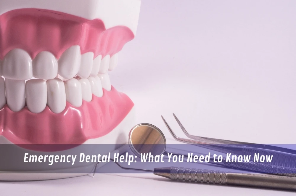 Emergency Dental Help: What You Need to Know Now