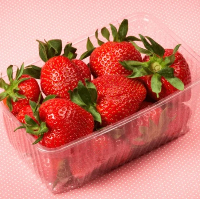 Revolutionizing Agriculture: Speed Breeding and Strawberry Picking Farms Set New Trends in India