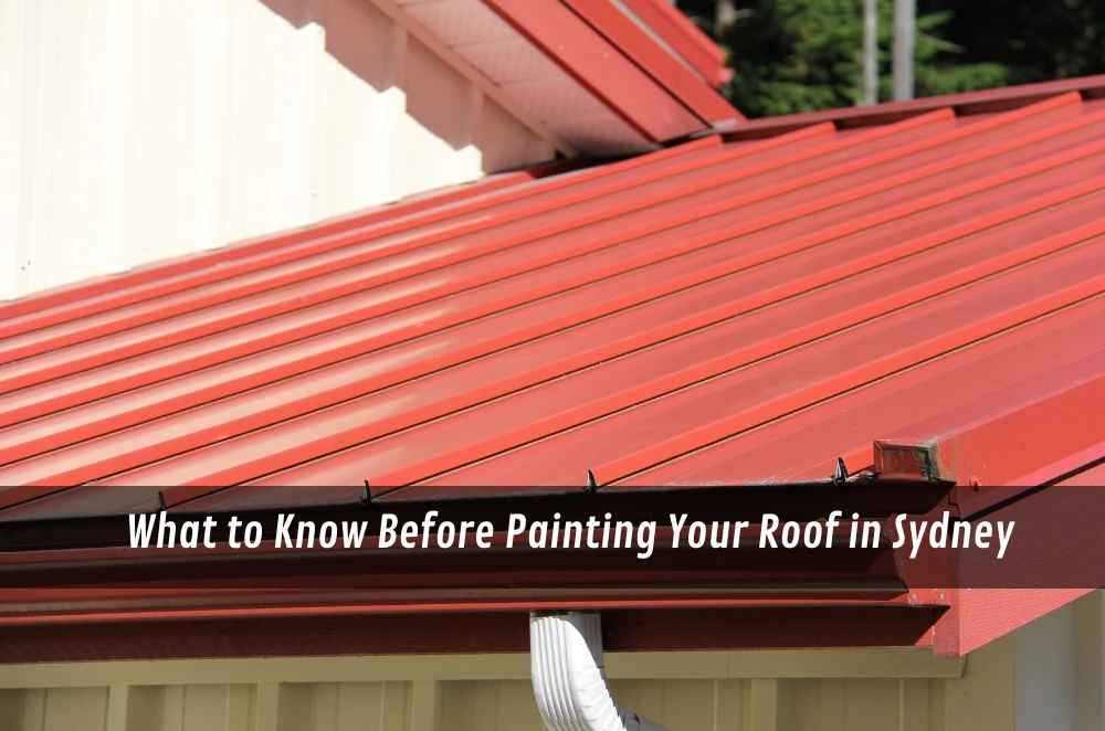 What to Know Before Painting Your Roof in Sydney