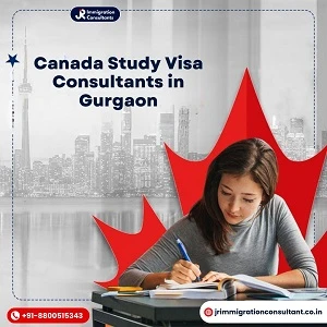 How Can Students Visa Consultants Help Me Study Abroad