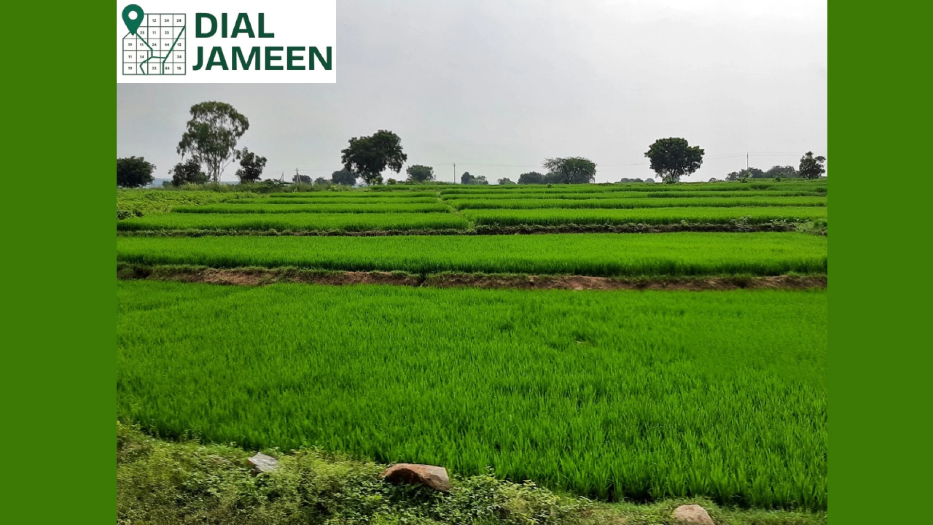 Land in Kurukshetra for Sale: Your Guide to Buying Agricultural Plots in Umri (2025)y Post Title