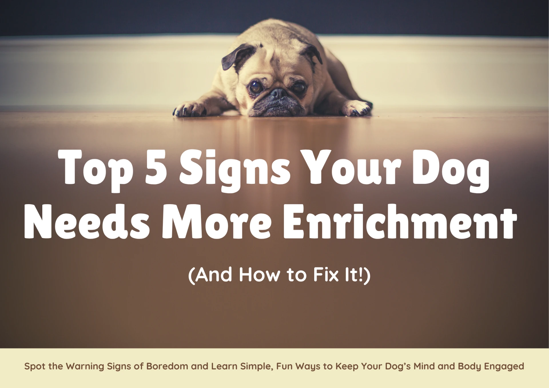 Top 5 Signs Your Dog Needs More Enrichment - Pawzndogz