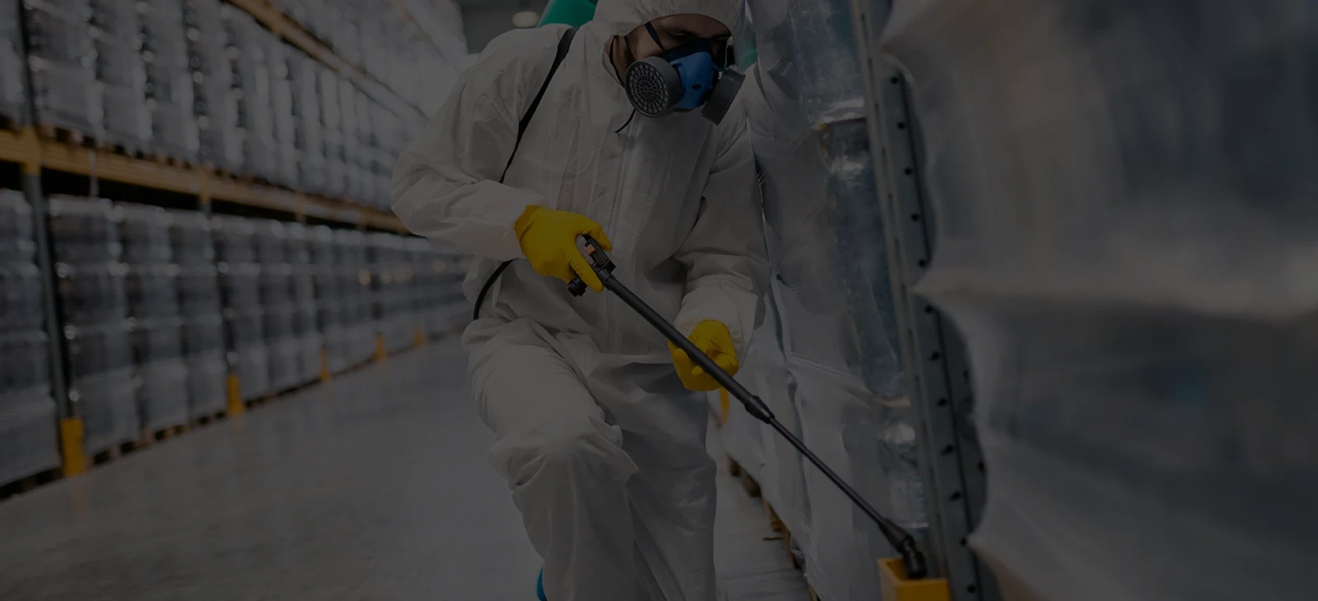 A Caledon Homeowner’s Guide to Smart Pest Control