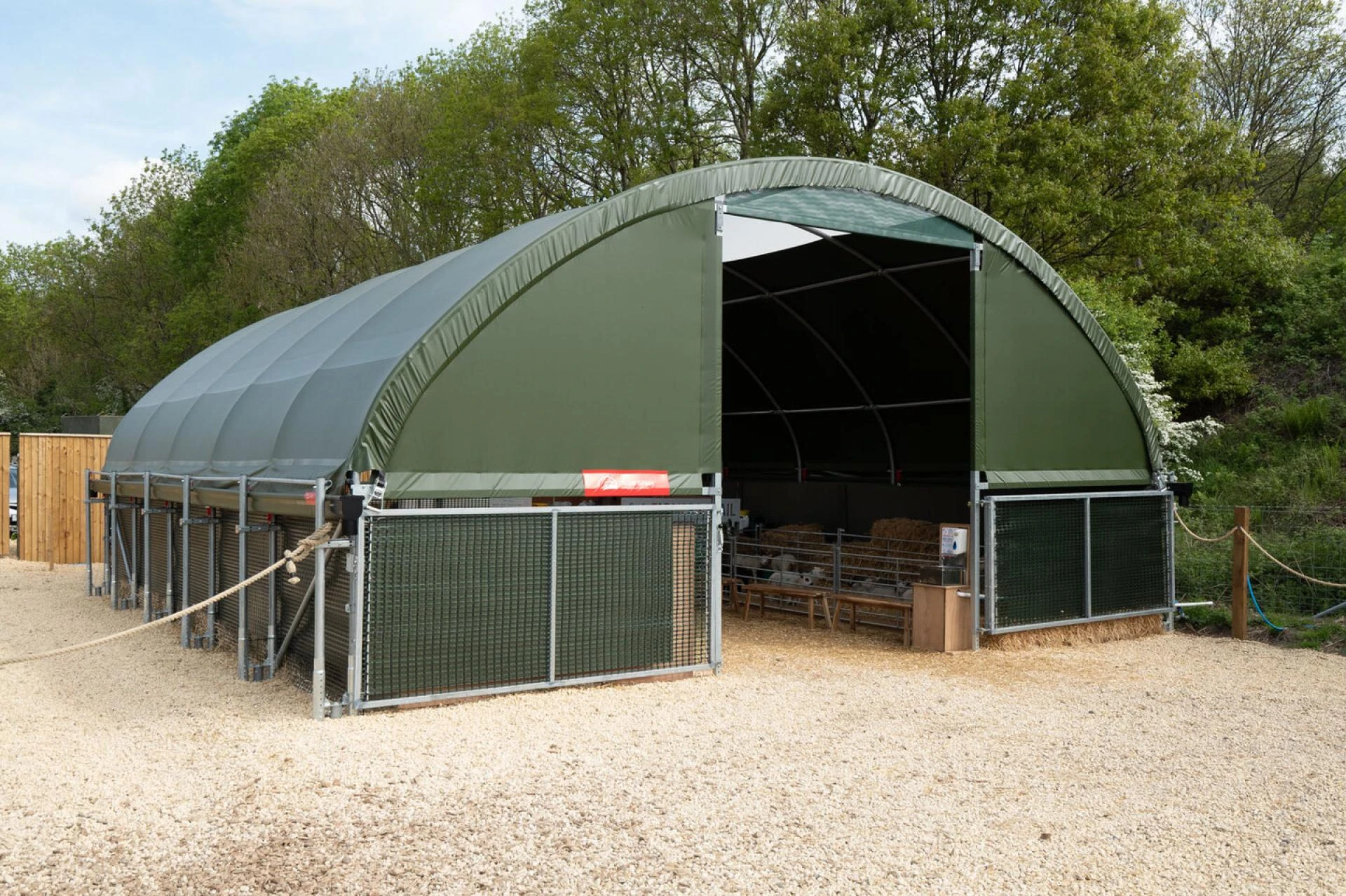 Nowoczesna obora dla krów – wydajność mleczna i zdrowie stada