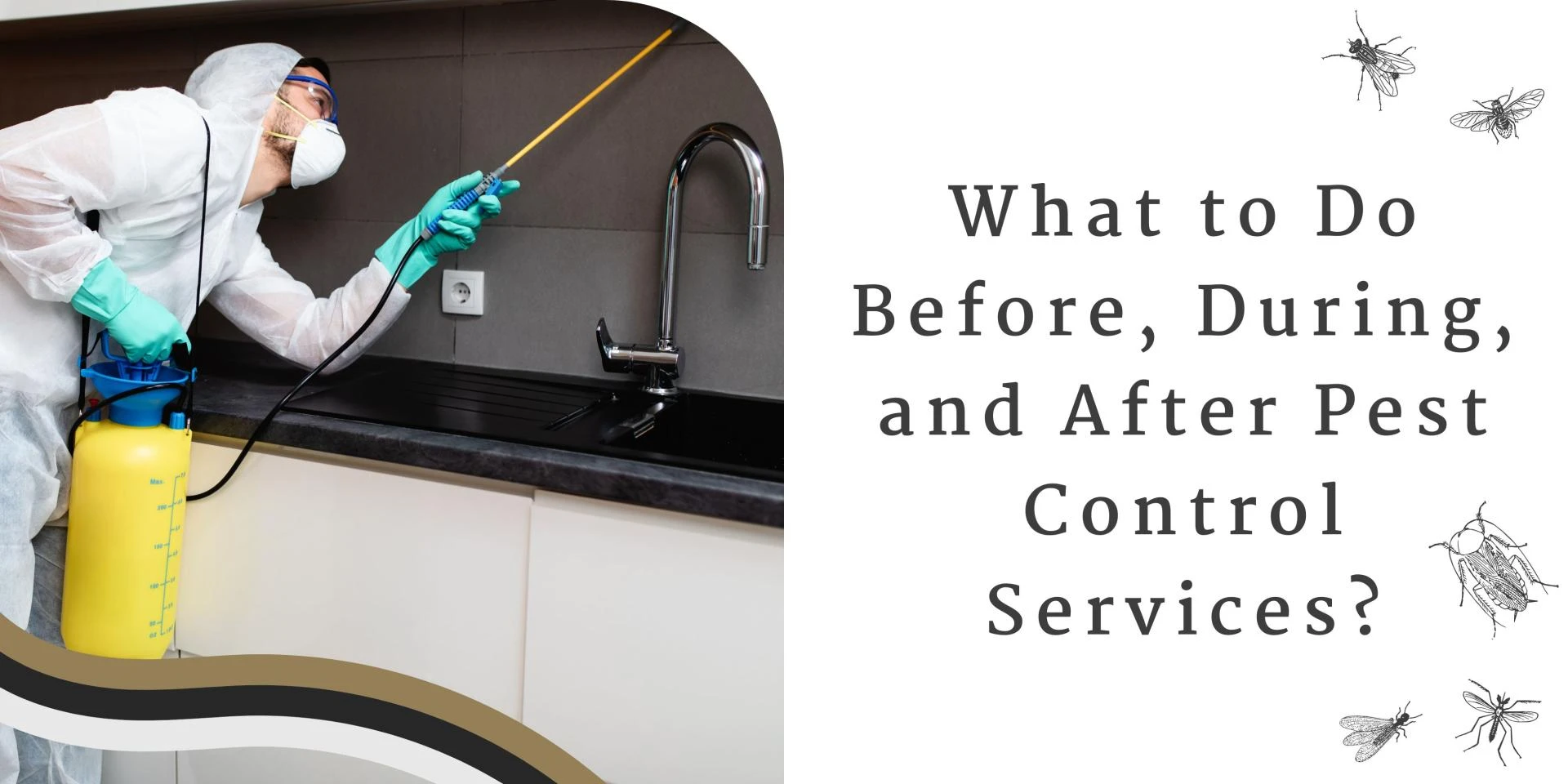 What to Do Before, During, and After Pest Control Services?