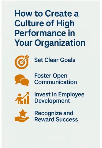 How to Create a Culture of High Performance in Your Organisation