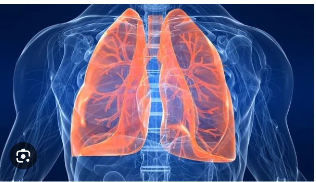 How Modern Healthcare Is Tackling the Lung Cancer Crisis Worldwide