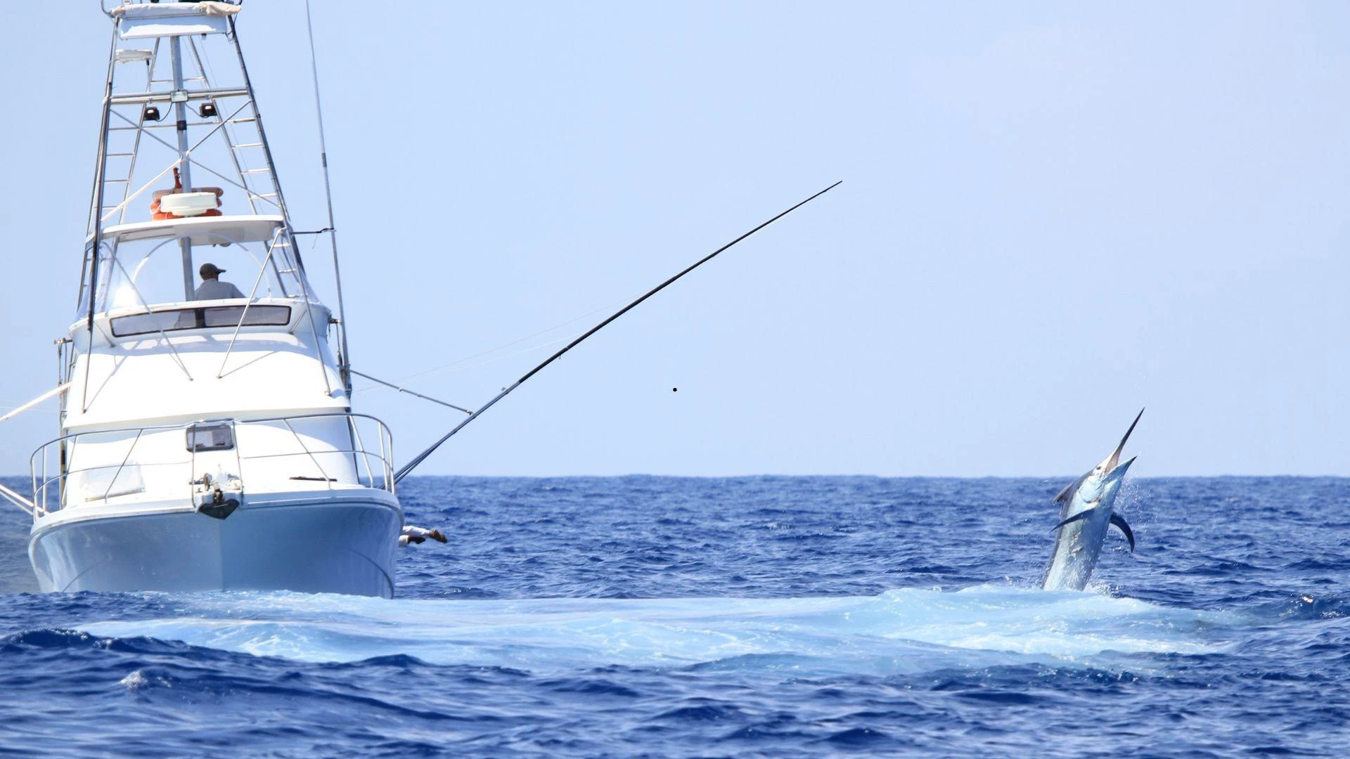 Fishing Charter Miami: What to Expect on Your First Trip