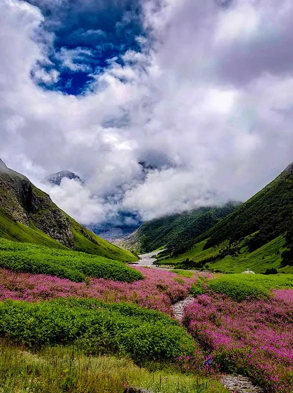 Valley of Flowers Trek: A Hidden Himalayan Paradise in Uttarakhand