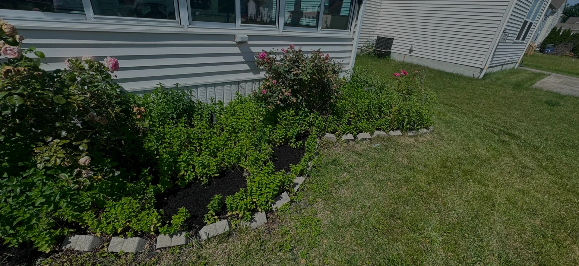 Top-quality lawn care services Northeast Yard Worx