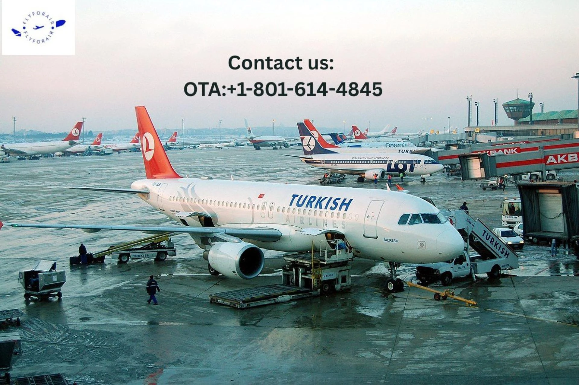 How do I speak to a human at Turkish Airlines? Fly with Turkish!