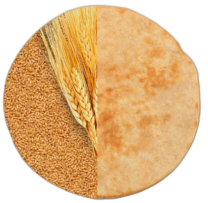 Buy Khakhra Online: The Ultimate Guide for NRIs Craving Authentic Gujarati Snacks