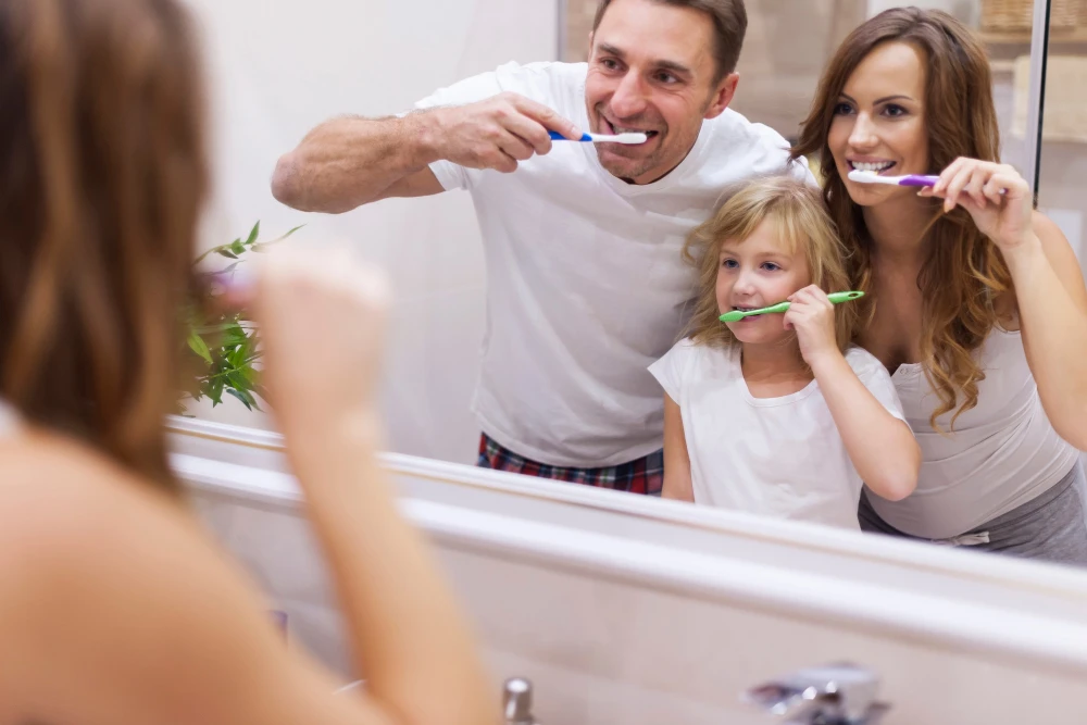 Understanding Your Teeth: A Guide to Oral Health