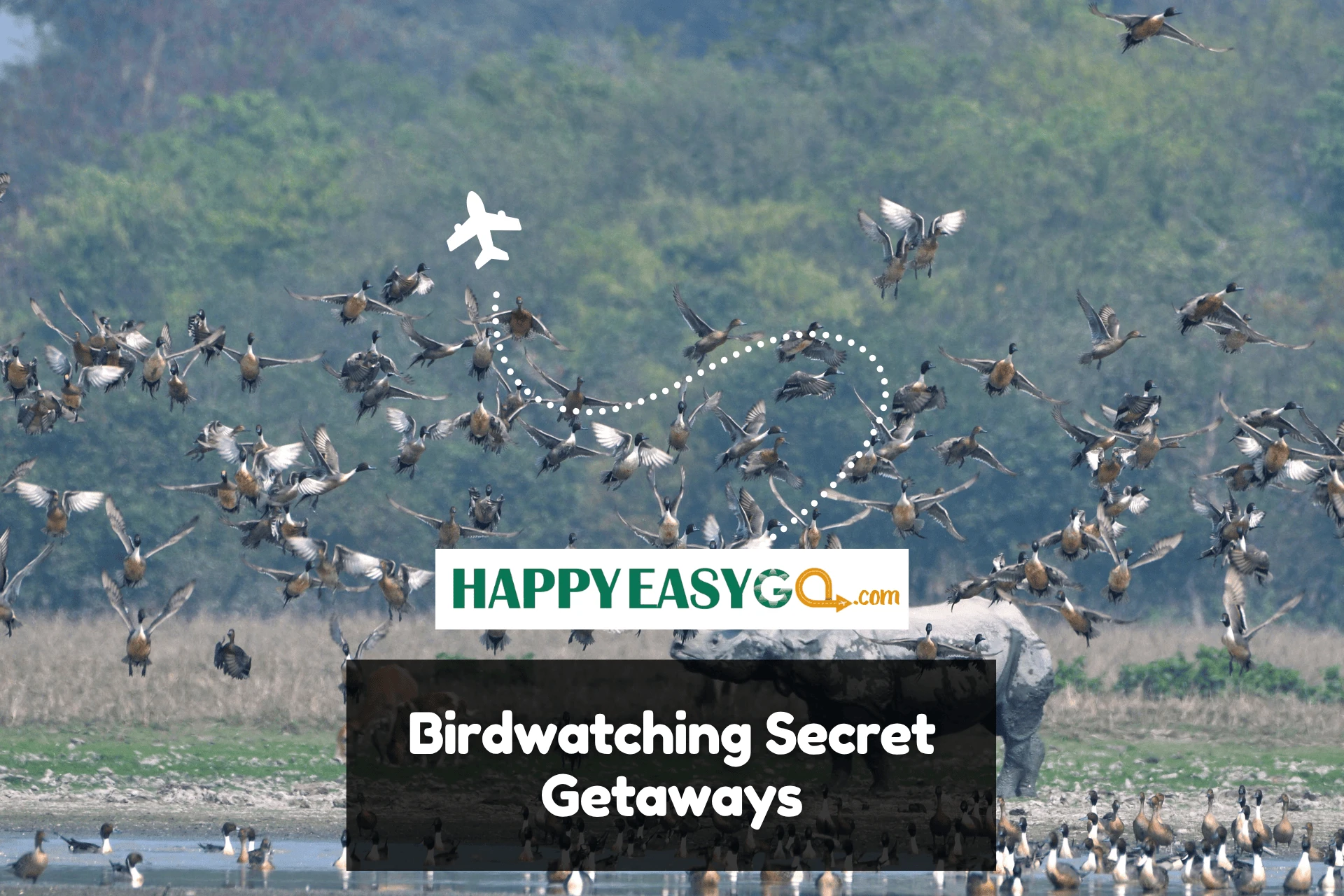 Call of the Wild: Birdwatching Secret Getaways