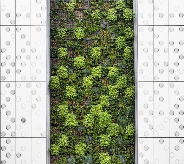 Sustainable Living: Practical Tips for Reducing Your Carbon Footprint 