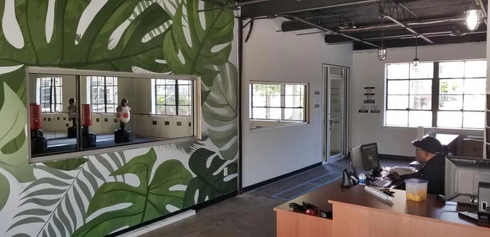 The Ultimate Guide to Commercial Glass and Frameless Glass Solutions