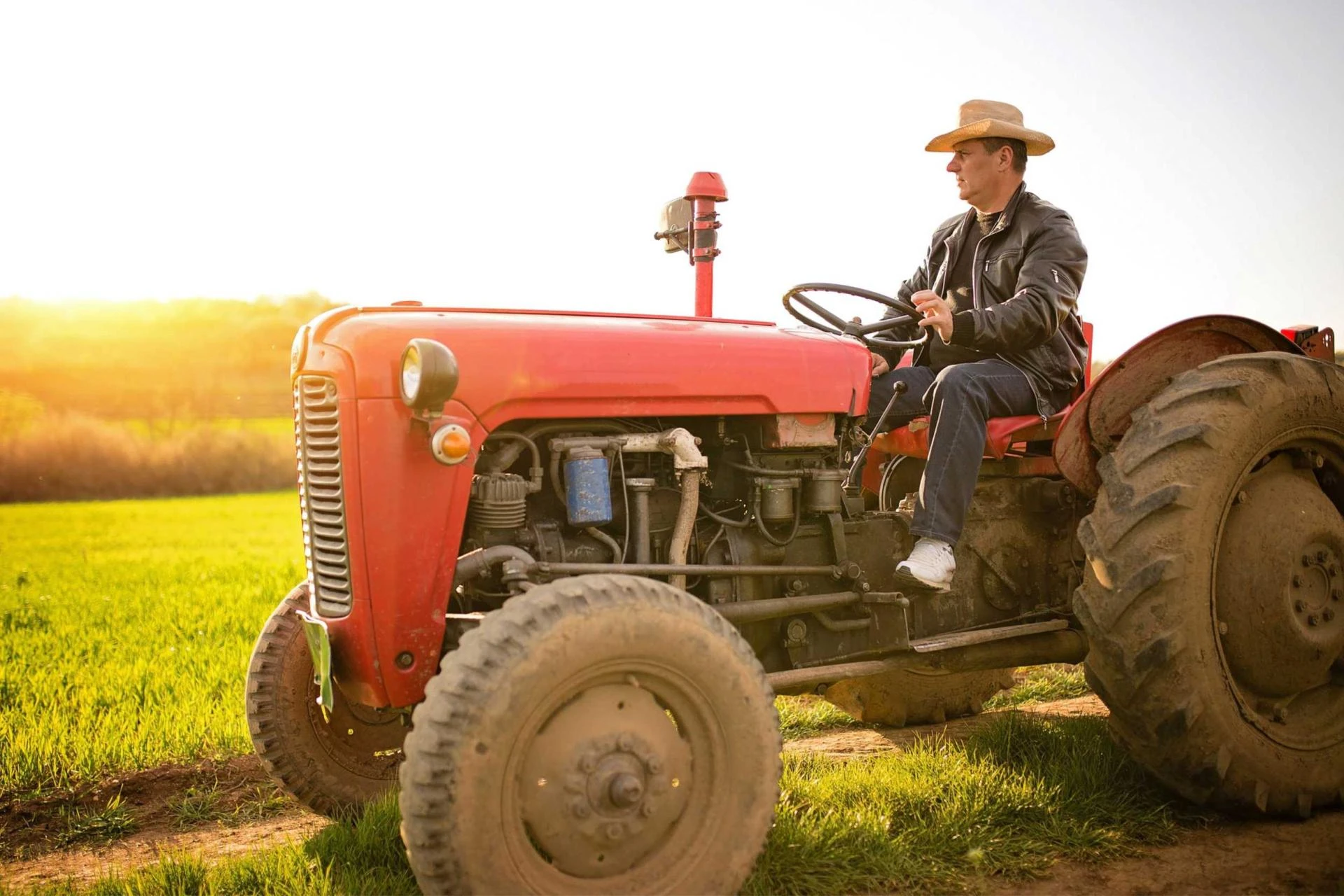 Fuel Types in the UK: Adapting to a Cleaner Future