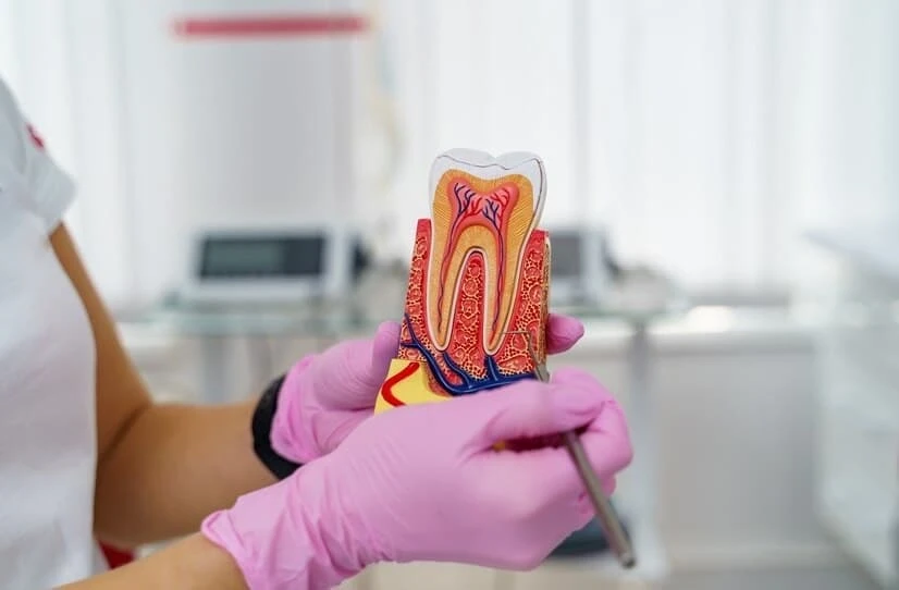 Inside a Birmingham Endodontist's Toolkit: The Tech That’s Transforming Root Canal Care