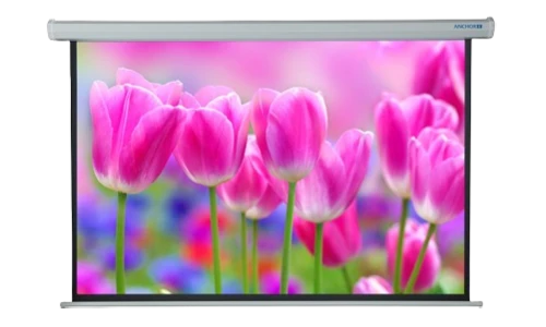 Transform Your Living Space with Motorised Screens